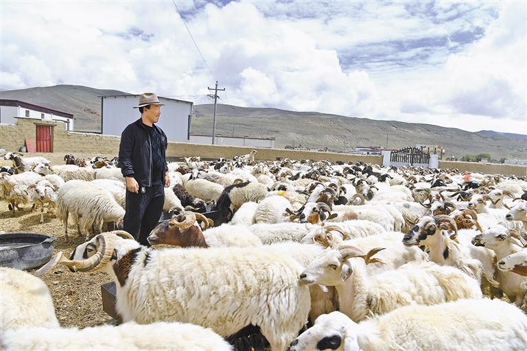 ཕྱུགས་རིགས་ཐོན་ལས་ལ་བརྟེན་ནས་ཡོང་འབབ་ཡོང་བར་འབད།