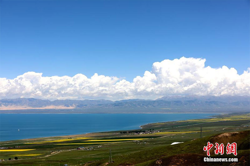 ཕ་ལམ་སྔོན་པོ་དང་མཚུངས་པའི་མཐོ་སྒང་གི་མཚོ་སྔོན་པོ། 