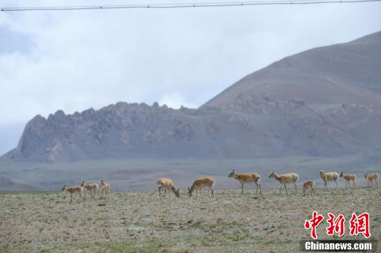  ཡིད་དུ་འོང་བའི་བྱང་ཐང་། 