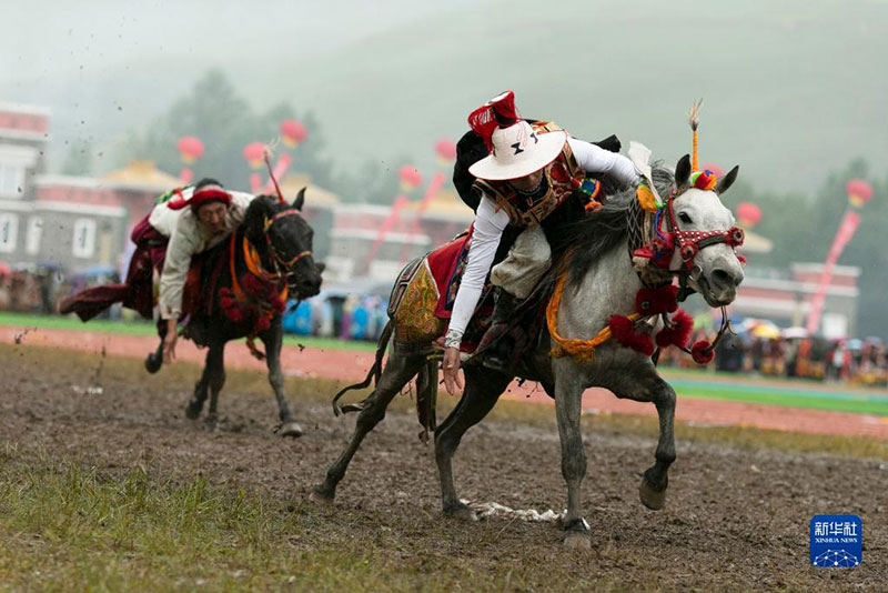 ཡུལ་ཤུལ་དུ་རྟ་རྒྱུག་དུས་ཆེན་གྱི་བྱེད་སྒོ་སྤེལ།  