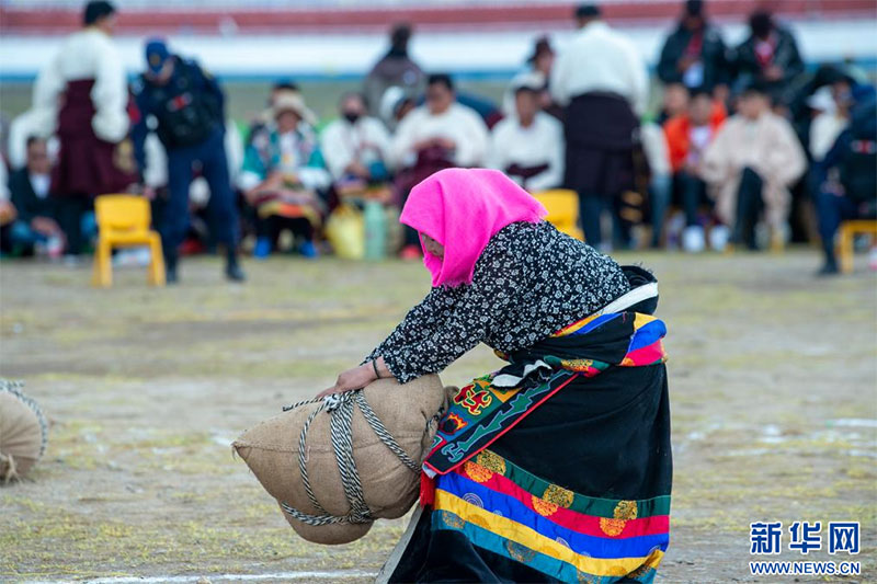 བོད་བྱང་ཐང་གི་ཤེད་ཤུགས་འགྲན་བསྡུར། 