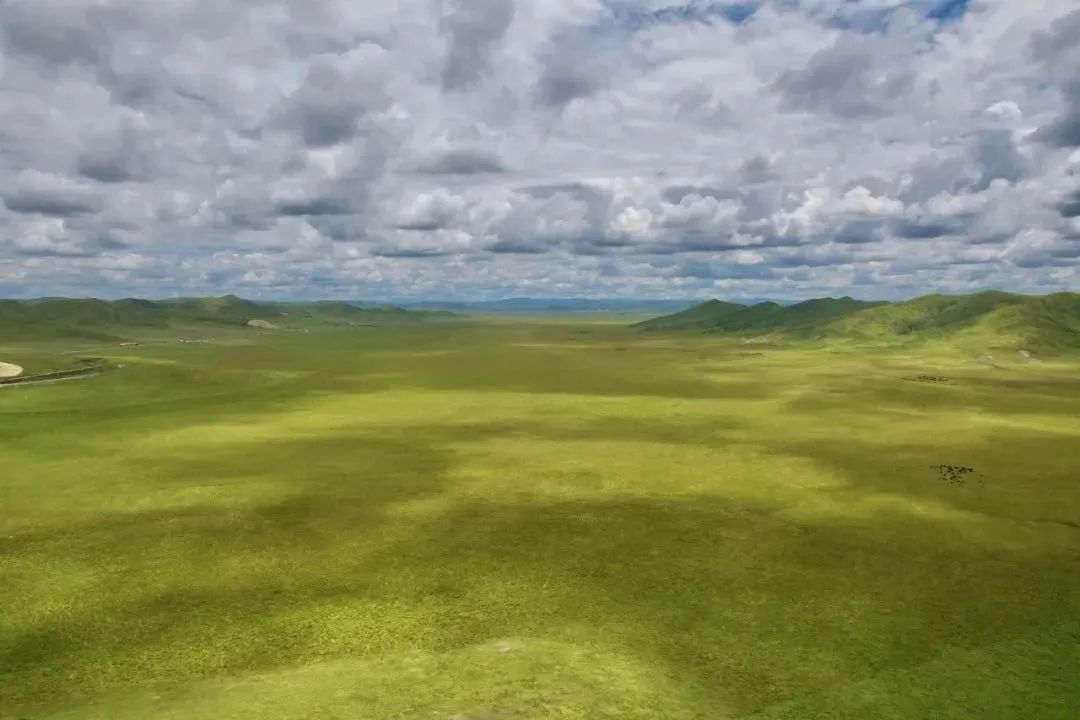 རྩྭ་ཐང་སྐྱེ་ཁམས་བཅོས་སྐྱོང་ལ་ཕན་འབྲས་མངོན་གསལ་ལོན།