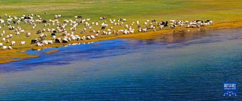 མཚོ་མོ་ངང་ལག་རིང་མོའི་མཛེས་ལྗོངས།