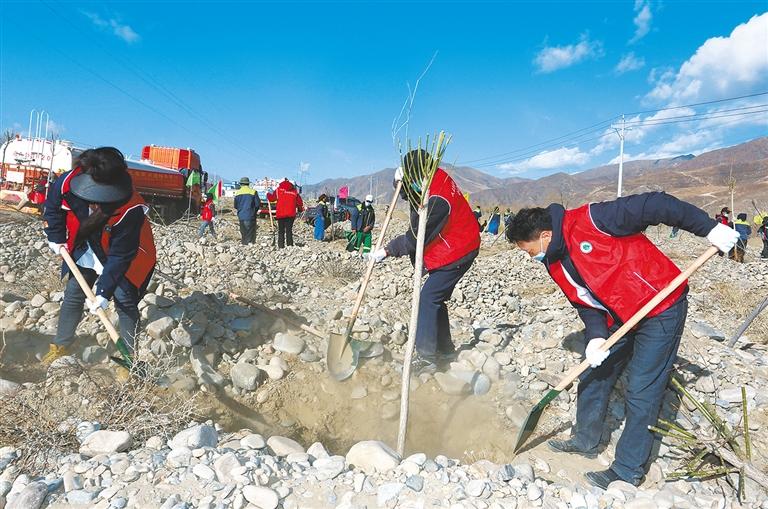 དཔྱིད་ཀྱི་དུས་སུ་ཤིང་འཛུགས་ལས་ལ་བྲེལ། ཡུལ་ལུང་གང་སར་སྔོ་ལྗང་གོས་ཀྱིས་བཀླུབས། ལྷ་ས་གྲོང་ཁྱེར་གྱིས་ཤིང་འཛུགས་ལྗང་སྲུང་ལས་དོན་སྤེལ་བའི་སྐོར་གྱི་སྒྲིལ་གླེང་།