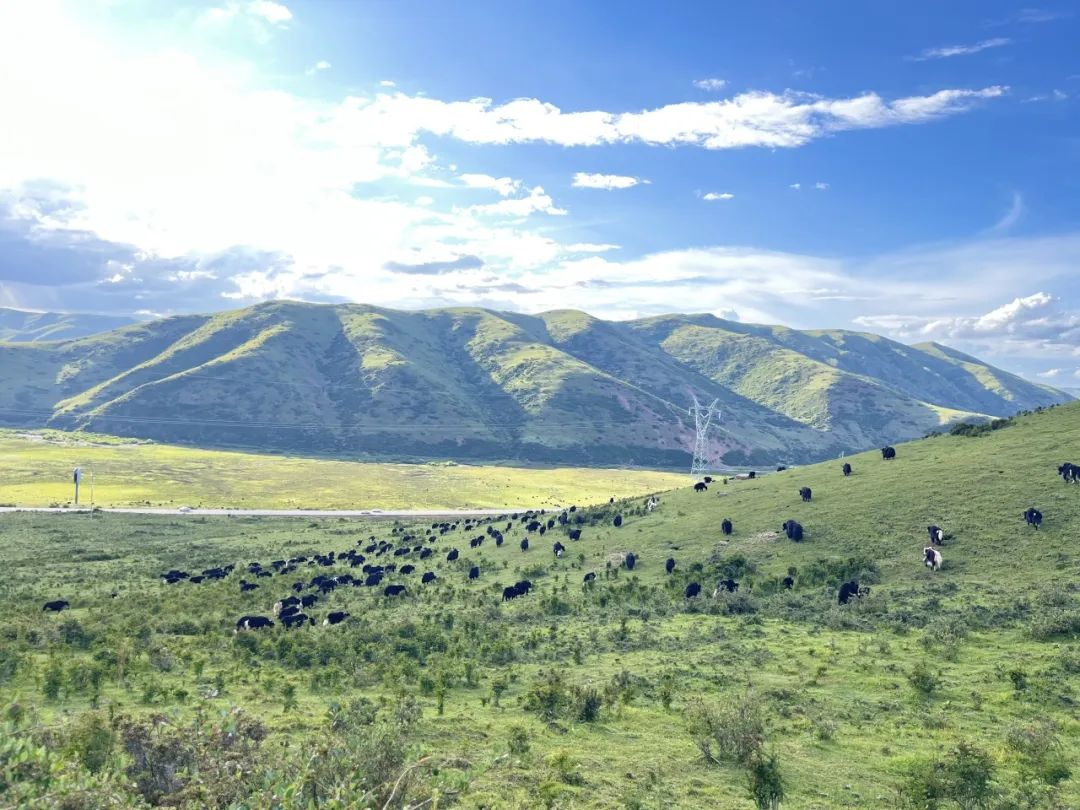 རྒྱལ་ཁབ་བསྡོམས་རྩིས་ཅུས་སི་ཁྲོན་བརྟག་དཔྱད་སྤྱི་ཁྱབ་རུ་ཁག་གིས་མཛོད་དགེ་རྫོང་དུ་སྡོད་དམངས་ཀྱི་གཏོང་ཡོང་དང་སྒོ་ཕྱུགས་དང་ཁྱིམ་བྱར་རྟོག་ཞིབ་ལས་དོན་སྤེལ།