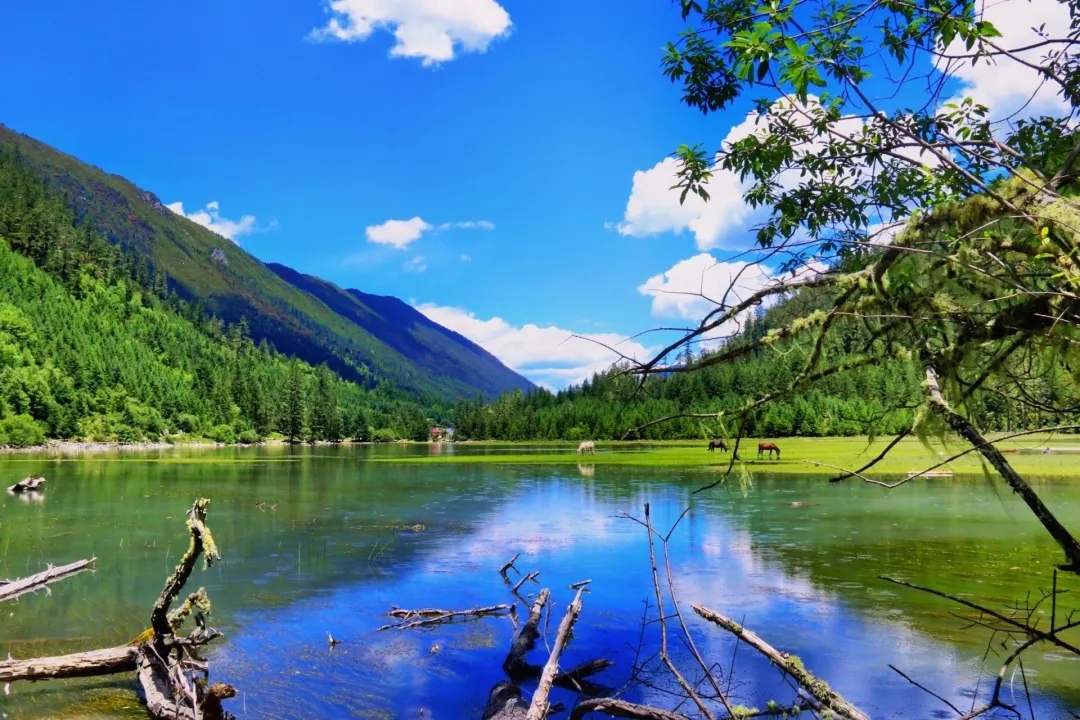 དར་མདོ་གྲོང་ཁྱེར་དཔའ་བསྲེག་རོང་ཡུལ་ཤོག་པད་མའི་མཚོ་གྲོང་ཚོ་རུ་སྨྱུག་སླེམ་ནང་གི་ཁོར་ཡུག་སྲུང་སྐྱོང་དང་ཆ་བསགས་དངོས་བརྗེ་ལམ་ལུགས་ཀྱི་ཁོར་སྲུང་གི་རྣམ་པ་གསར་པ་མངོན། 