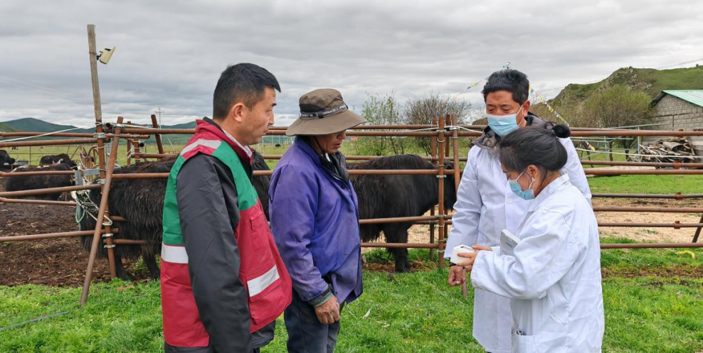 ཐང་སྐོར་གྲོང་རྡལ་གྱིས་ཕྱུགས་རིགས་ཕྱིར་ཚོང་གི་དུས་སྐབས་དམ་འཛིན་བྱས་ནས། འབྲོག་པའི་ཡོང་འབབ་འཕར་སྣོན་དང་སྐྱེ་ཁམས་སྲུང་སྐྱོང་མངོན་འགྱུར་བྱས།